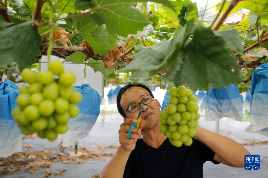 奥门永利官网